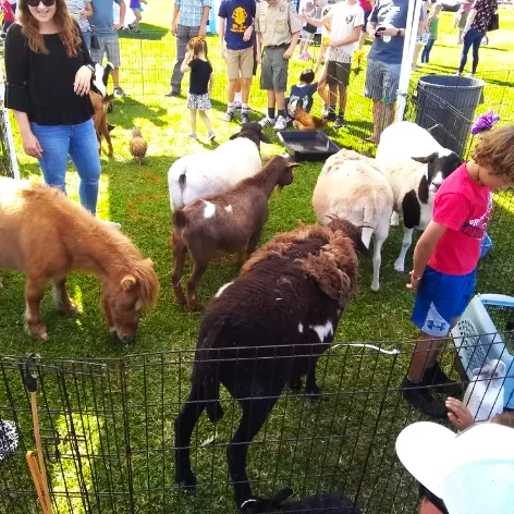 Petting zoo