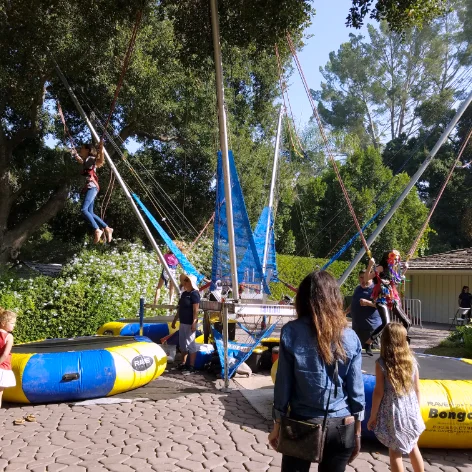 Bounce houses & bungee jumps