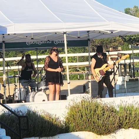 Stage Shows & Musicians