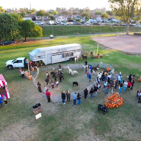 Photo & video services